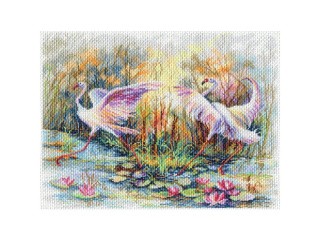 Рисунок на канве «Танец фламинго»