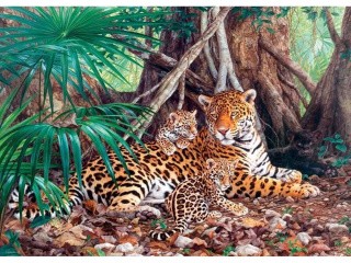 Пазлы «Ягуары в джунглях»