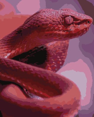 Картина по номерам «Красная и опасная» Картина по номерам «Красная и опасная»