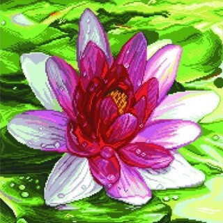 Рисунок на ткани «Водяная лилия»