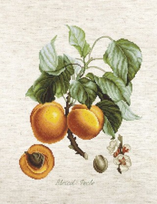 Набор для вышивания «Персики»