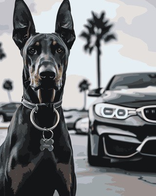 Картина по номерам «Машина BMW и собака доберман монохром»
