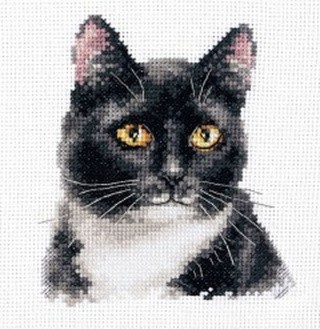 Набор для вышивания «Черный кот»