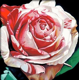 Алмазная вышивка «Алая роза»