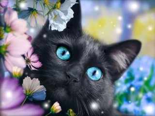 Алмазная вышивка «Черный кот в цветах»