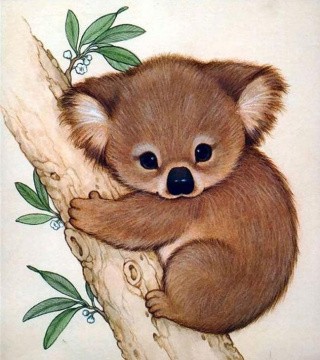 Алмазная вышивка «Коала» Алмазная вышивка «Коала»