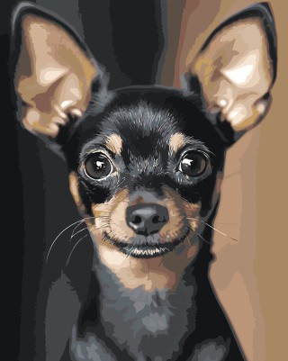 Картина по номерам «Собаки: черный той терьер, портрет»