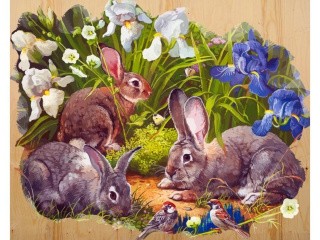 Картина по номерам по дереву Color KIT «Кролики и воробышек»