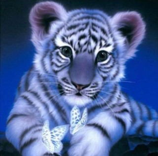 Алмазная вышивка «Тигренок» Алмазная вышивка «Тигренок»