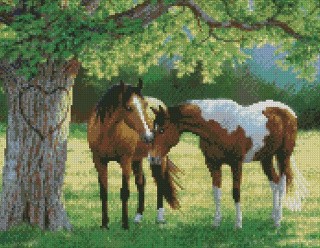 Алмазная вышивка «Пара» Алмазная вышивка «Пара»