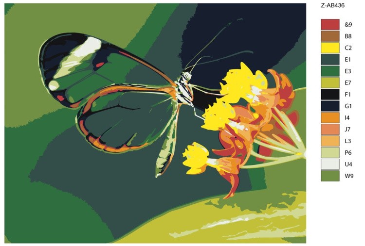 Картина по номерам «Изящная бабочка» — картинка 2