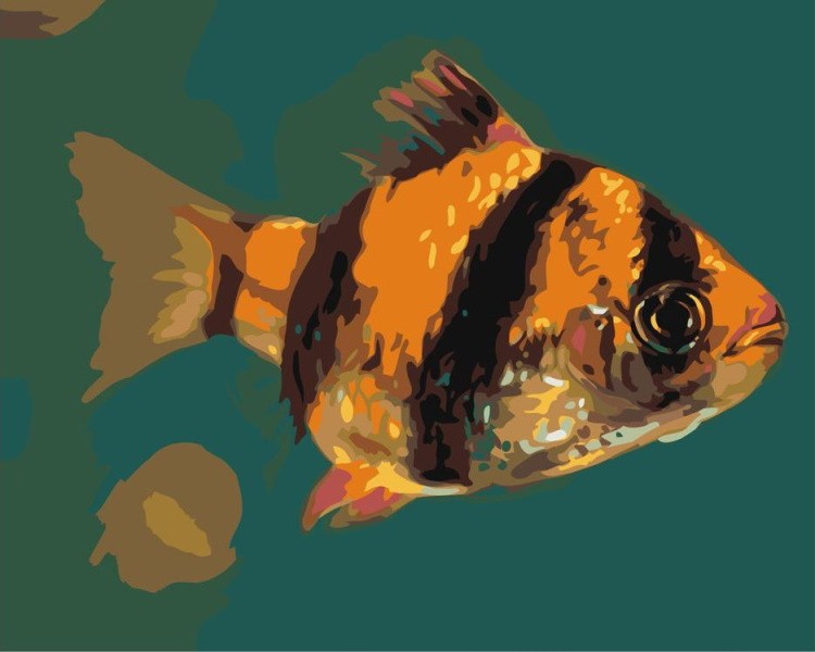 Картина по номерам «Тигровая рыбка»