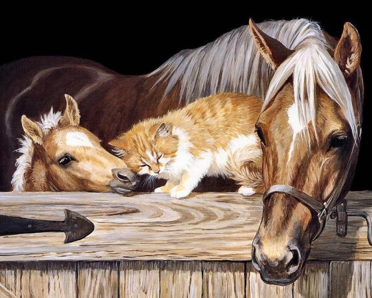 Алмазная вышивка «Лошадь, жеребенок и рыжий кот»