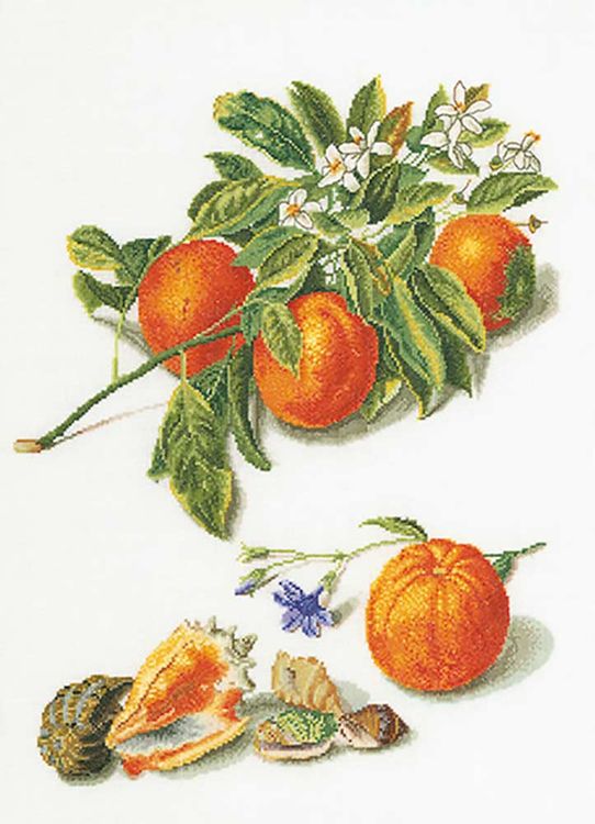 Набор для вышивания «Апельсины и мандарины»