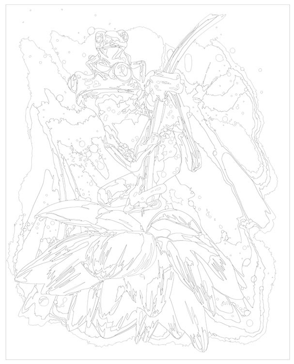 Картина по номерам «Лягушки» — картинка 3