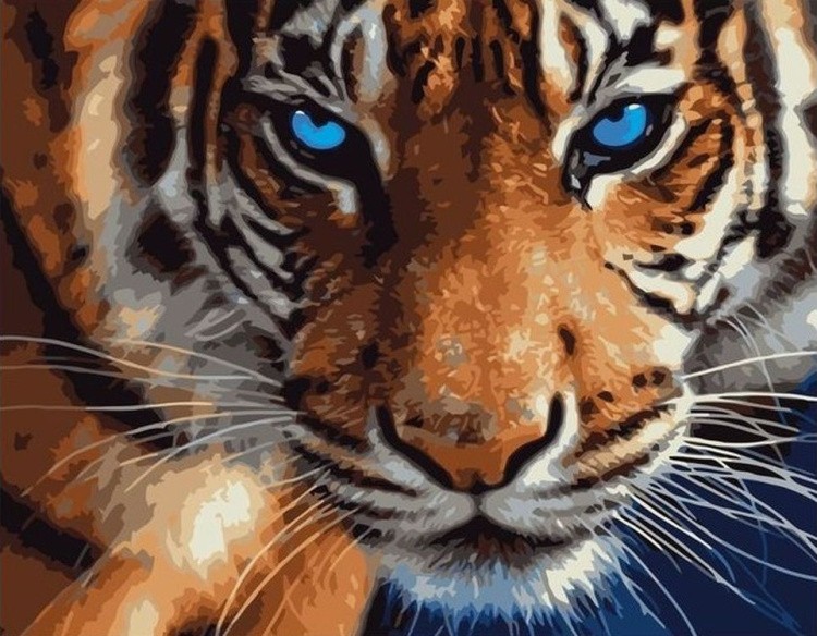 Картина по номерам «Взгляд тигра»