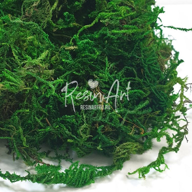 Мох сухой зеленый, ResinArt — картинка 2
