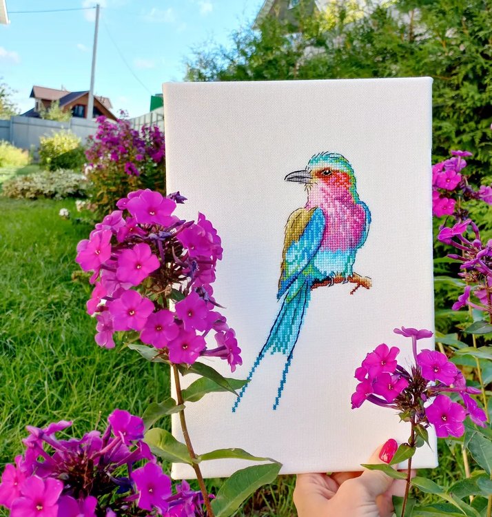 Набор для вышивания «Бенгальская ракша» — картинка 3