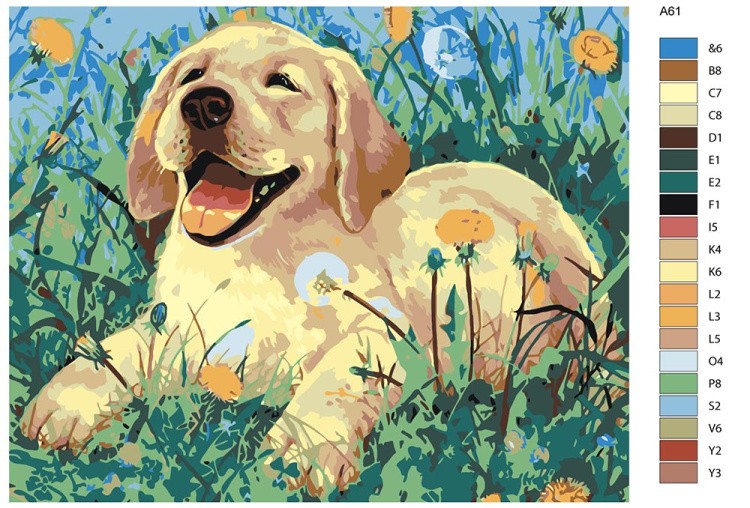 Картина по номерам «Щенок на прогулке» — картинка 2