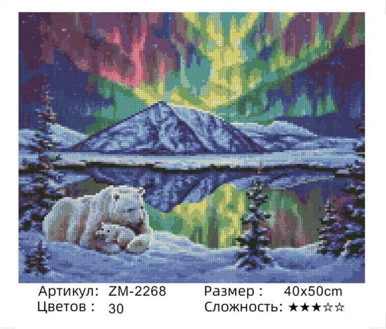 Алмазная вышивка «Полярная ночь» — картинка 2