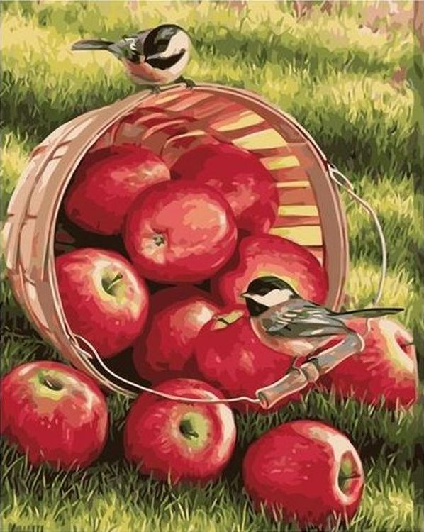 Картина по номерам «Ведро яблок»