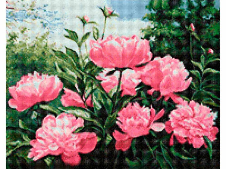 Алмазная вышивка «Пионов цвет» — картинка 2