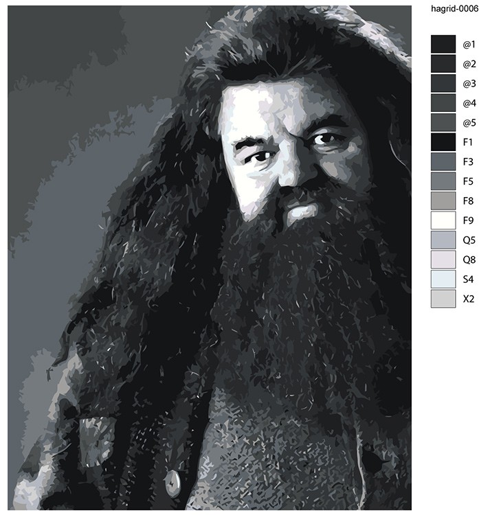 Картина по номерам «Хагрид чернобелая монохром, Гарри Поттер» — картинка 2