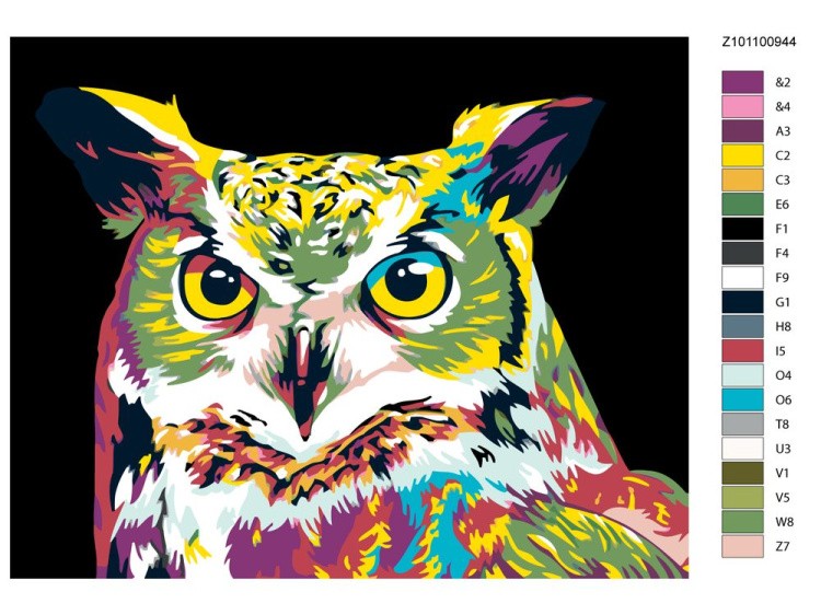 Картина по номерам «Разноцветная сова» — картинка 2