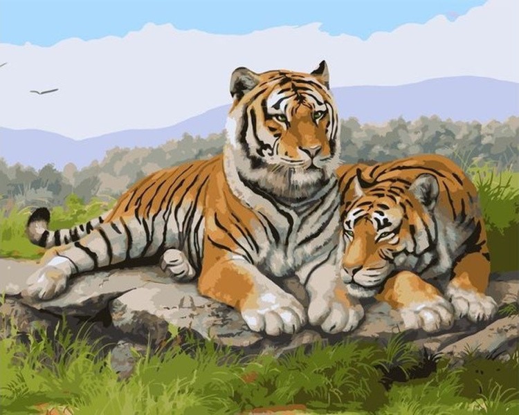 Картина по номерам «Тигриный отдых»