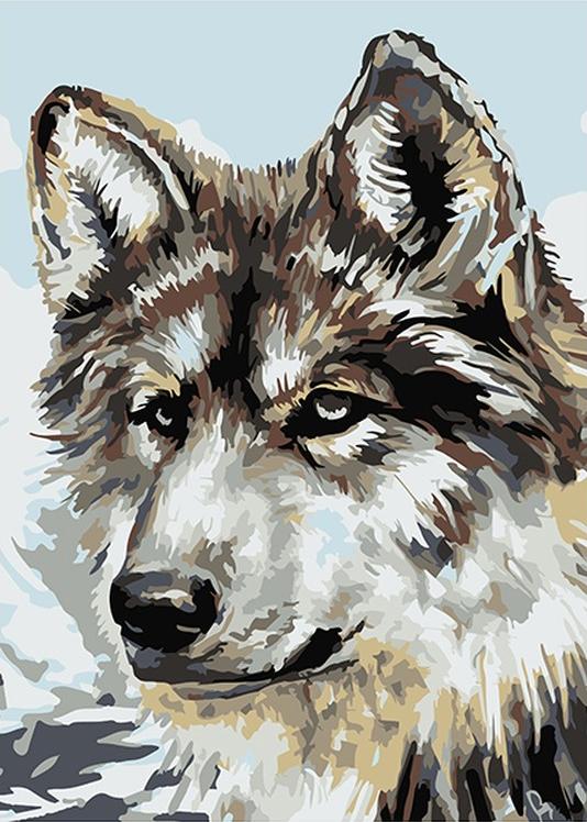 Картина по номерам «Серый волк»
