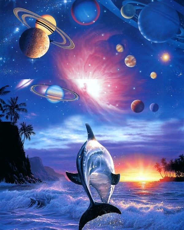 Алмазная вышивка «Космический дельфин» — картинка 2