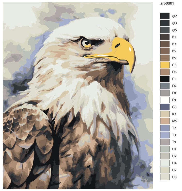 Картина по номерам «Животные: птица белоголовый орел арт» — картинка 2