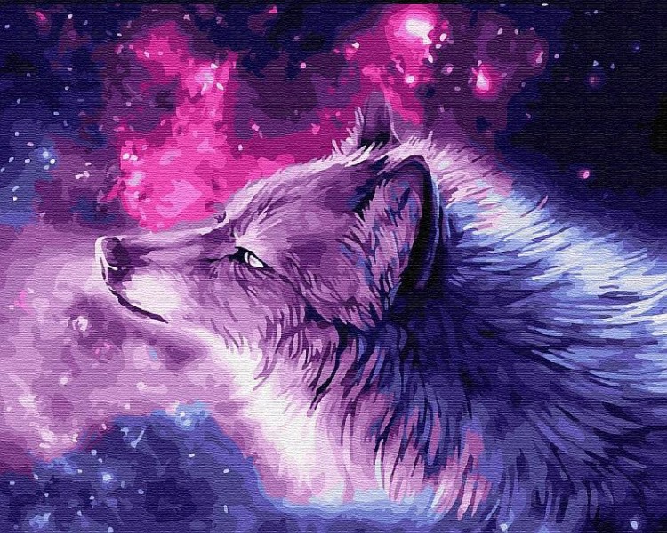 Картина по номерам «Волк и звезды»
