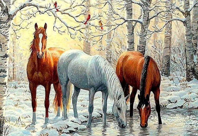 Алмазная вышивка «Лошади зимой»