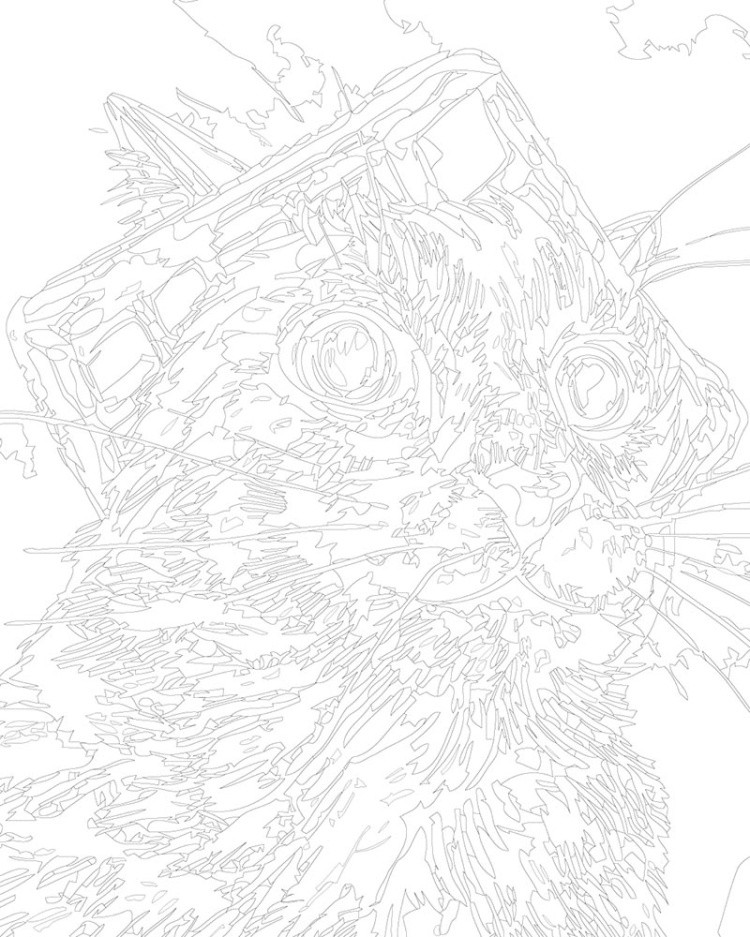 Картина по номерам «Кошки: пушистый кот с вафлей на голове» — картинка 3