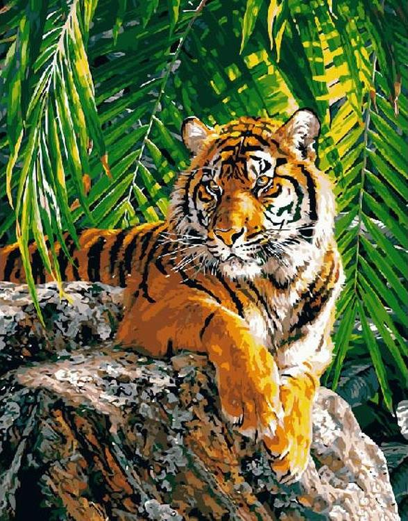 Картина по номерам «Бенгальский тигр»