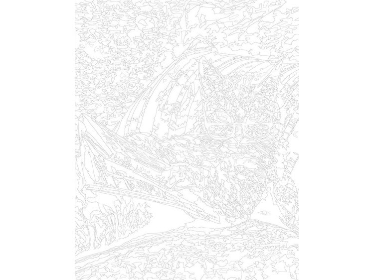 Картина по номерам «Кот учёный» — картинка 3