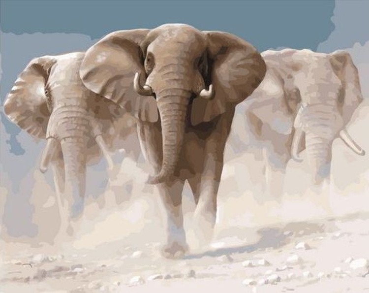 Картина по номерам «Стадо слонов»