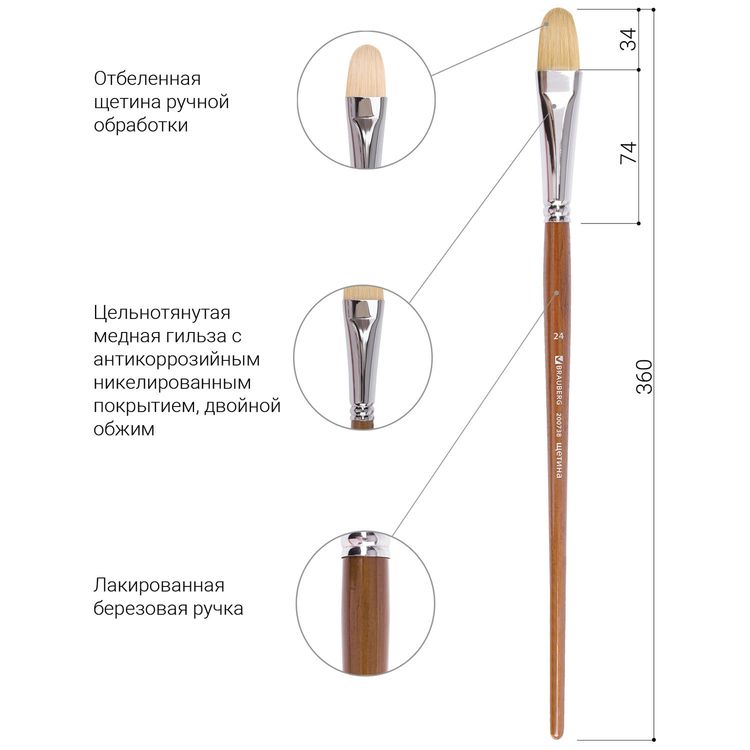 Кисть художественная профессиональная Art Classic, щетина, овальная, № 24, длинная ручка, Brauberg — картинка 4