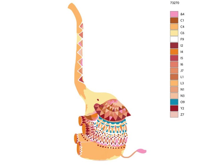 Картина по номерам «Хобот» — картинка 2