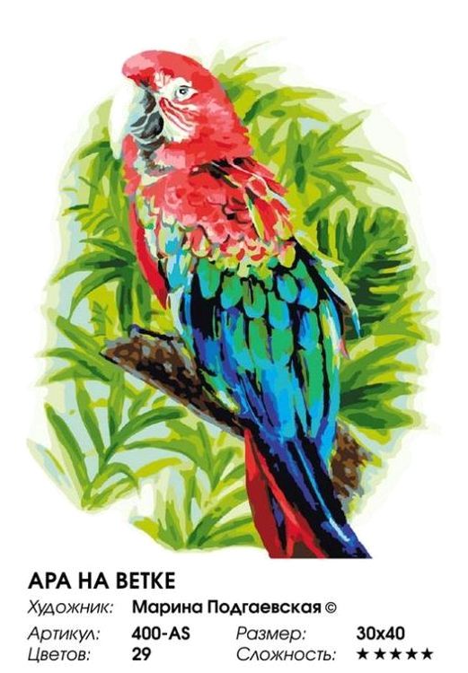 Картина по номерам «Ара на ветке» — картинка 2