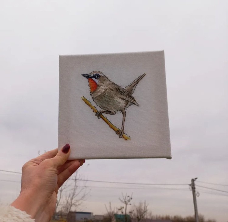Набор для вышивания «Красношейка. Забайкальский соловей» — картинка 2