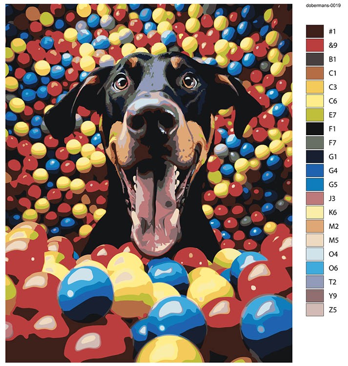 Картина по номерам «Собака доберман в разноцветных мячиках» — картинка 2