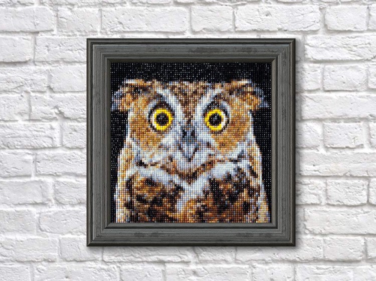 Алмазная вышивка «Любопытная сова» — картинка 3