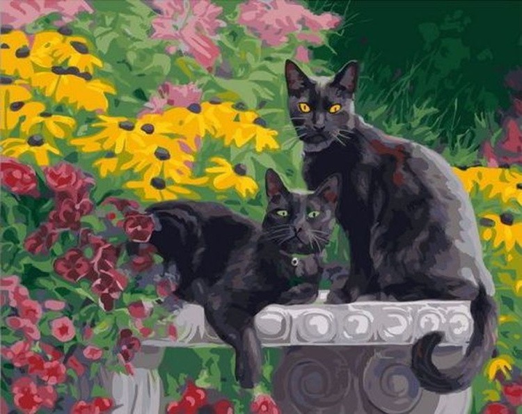 Картина по номерам «Черные кошки»