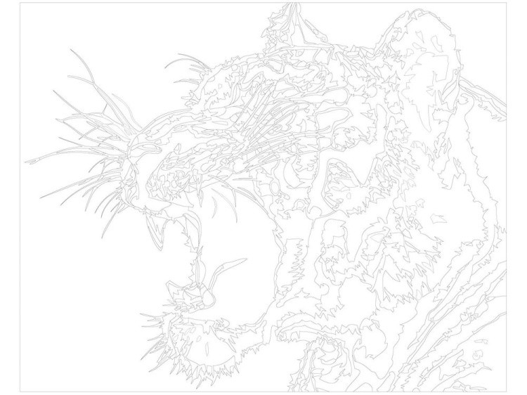 Картина по номерам «Тигр» — картинка 3