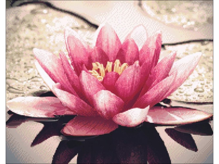 Алмазная вышивка «Лотос на воде» — картинка 2