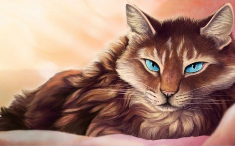 Алмазная вышивка «Голубоглазая кошка» — картинка 2