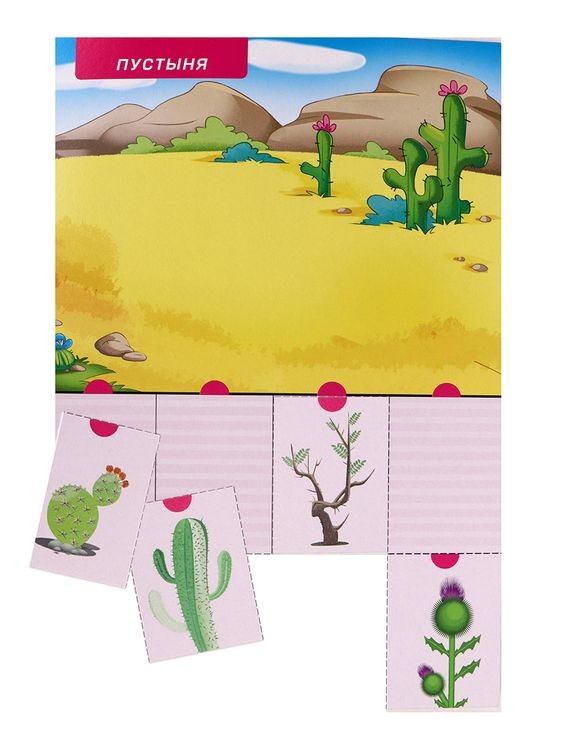 Первые уроки «Что где растет?» — картинка 7