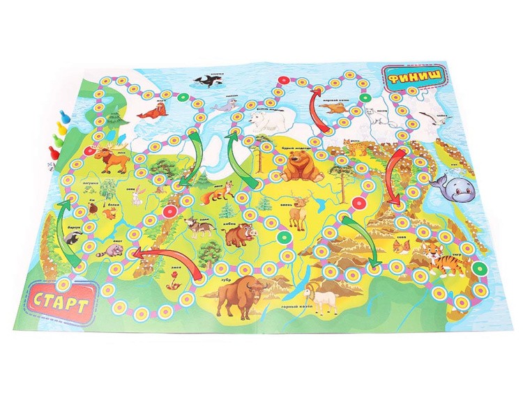 Макси-игра «Животный мир России» — картинка 2